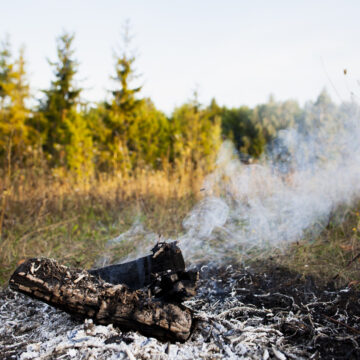 Desafíos ambientales en España en los que Greenpeace propone actuar