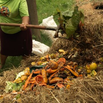 El exagerado desperdicio de alimentos en Colombia contribuye al cambio climático