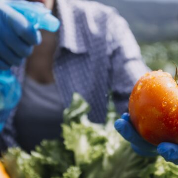 Agricultura orgánica: el desafío de producir sin contaminar