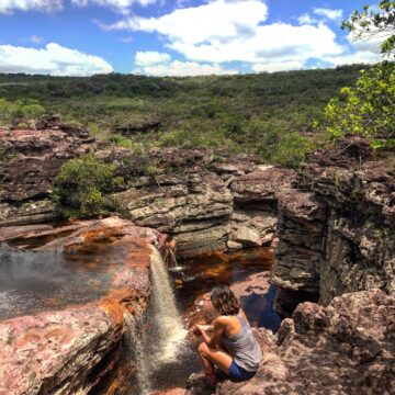 La deforestación en Brasil: una problemática que alarma